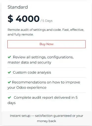 [P101378] Odoo Audit - Standard
